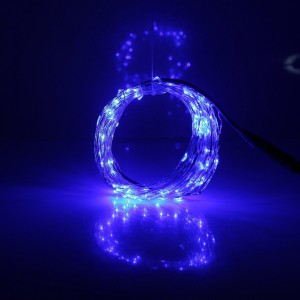 http://www.szruicailed.com/65-290-thickbox/ruicaikun-12v-dc-10m-33ft-100-micro-drop-led-copper-wire-string-with-power-adapter-.jpg