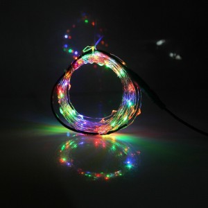 http://www.szruicailed.com/66-292-thickbox/ruicaikun-12v-dc-10m-33ft-100-micro-drop-led-copper-wire-string-with-power-adapter.jpg