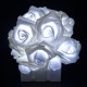 RUICAIKUN Rose Flower Fairy Lights with 20 LED Warm White Color Batteries Powered for Wedding Party Holiday Festival